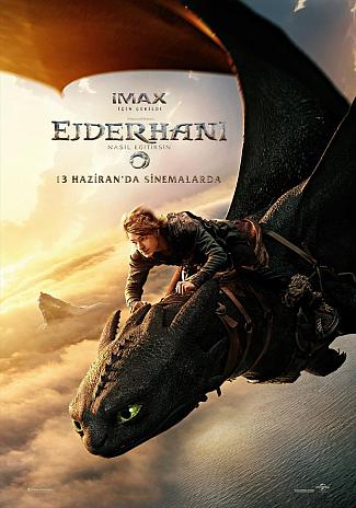 HOW TO TRAIN YOUR DRAGON 