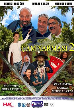 ÇAM YARMASI 2