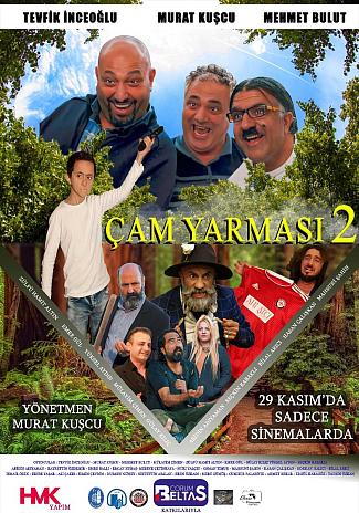 ÇAM YARMASI 2