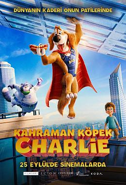 CHARLIE THE WONDERDOG