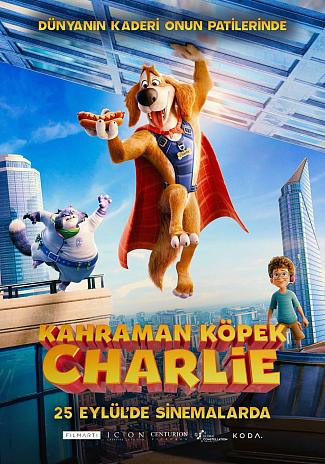 CHARLIE THE WONDERDOG